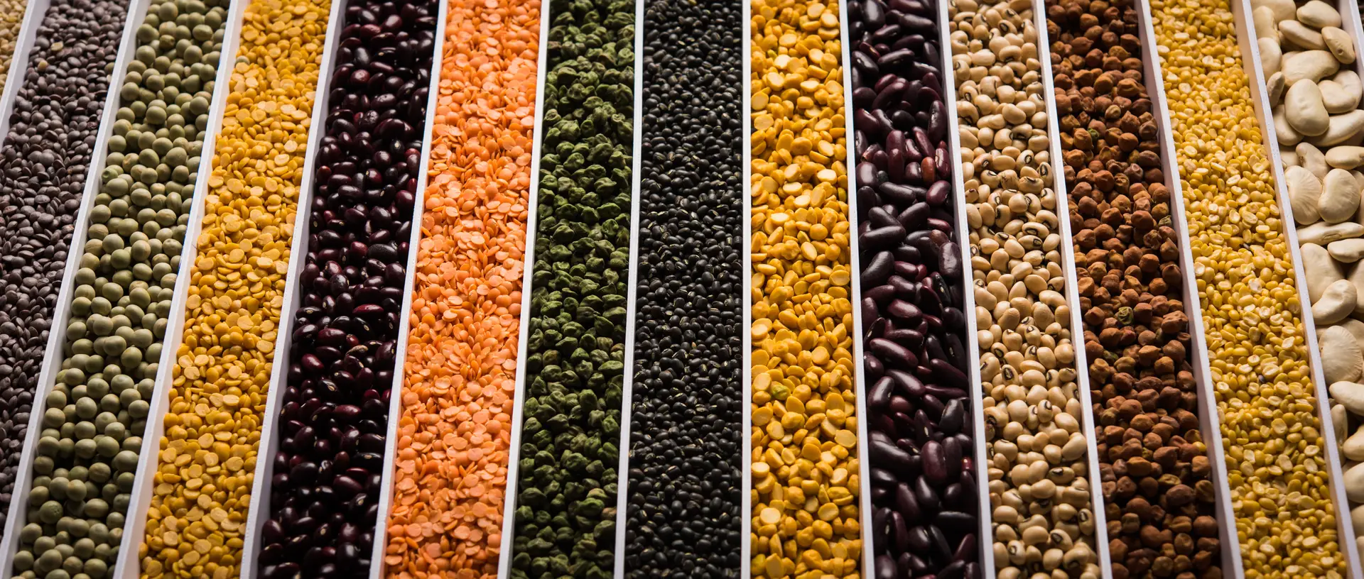 global pulse market update